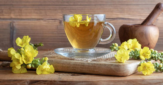 5 plantes médicinales pour combattre les infections respiratoires - La Boite à Grains