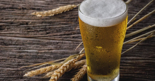 Bière biologique à Gatineau et microbrasseries - La Boite à Grains