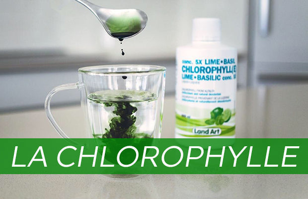 Chlorophylle : ses bienfaits sur la sant | Mythe ou ralit? La Boite Grains Chlorophylle : ses bienfaits sur la sant | Mythe ou ralit? La Boite Grains