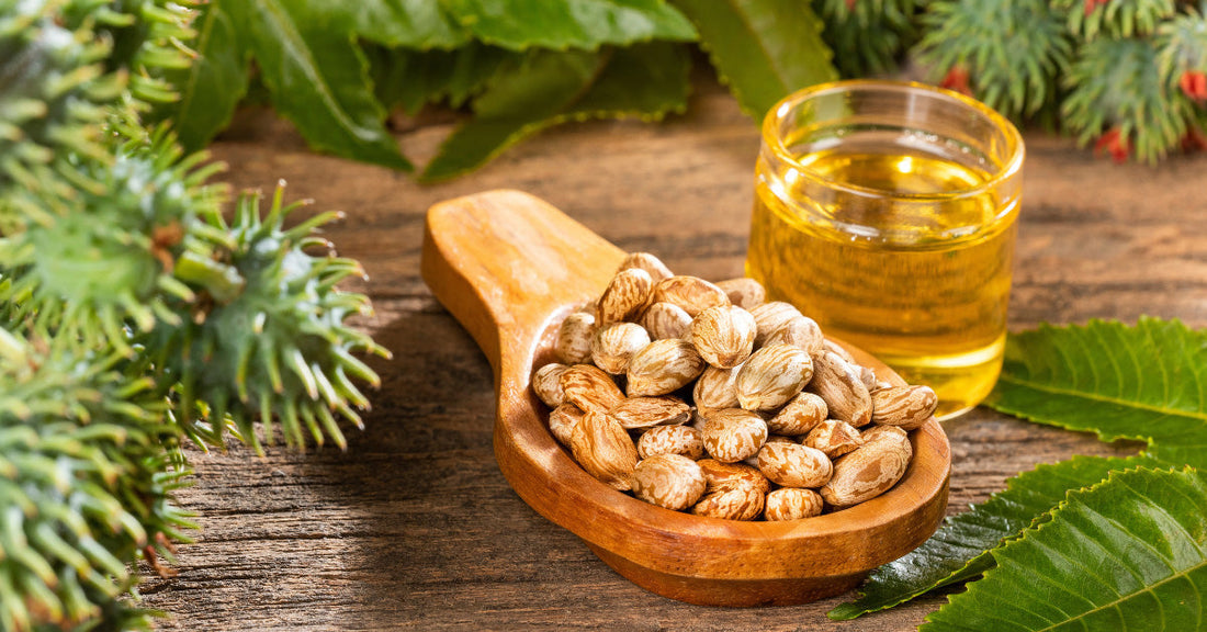 tout savoir sur les bienfaits de l'huile de ricin - La Boite à Grains