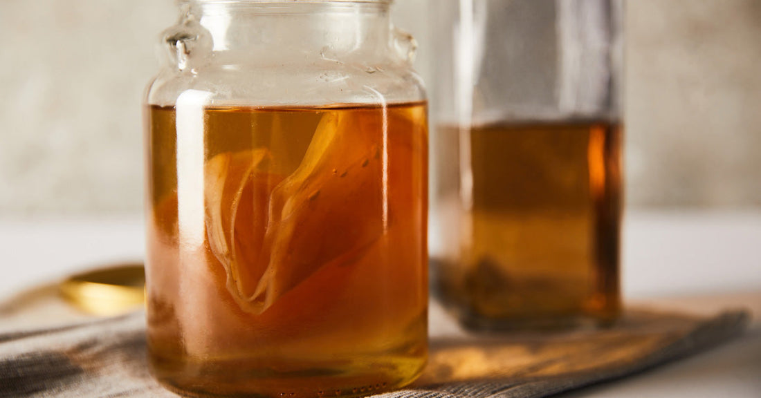 Kombucha : fabrication maison - La Boite à Grains