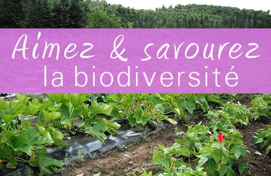 La biodiversité : jardins de l'Écoumène - La Boite à Grains