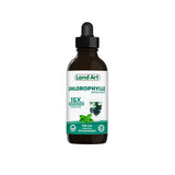 land art chlorophyll concentrate 15X mint 100 ml - La Boite à Grains