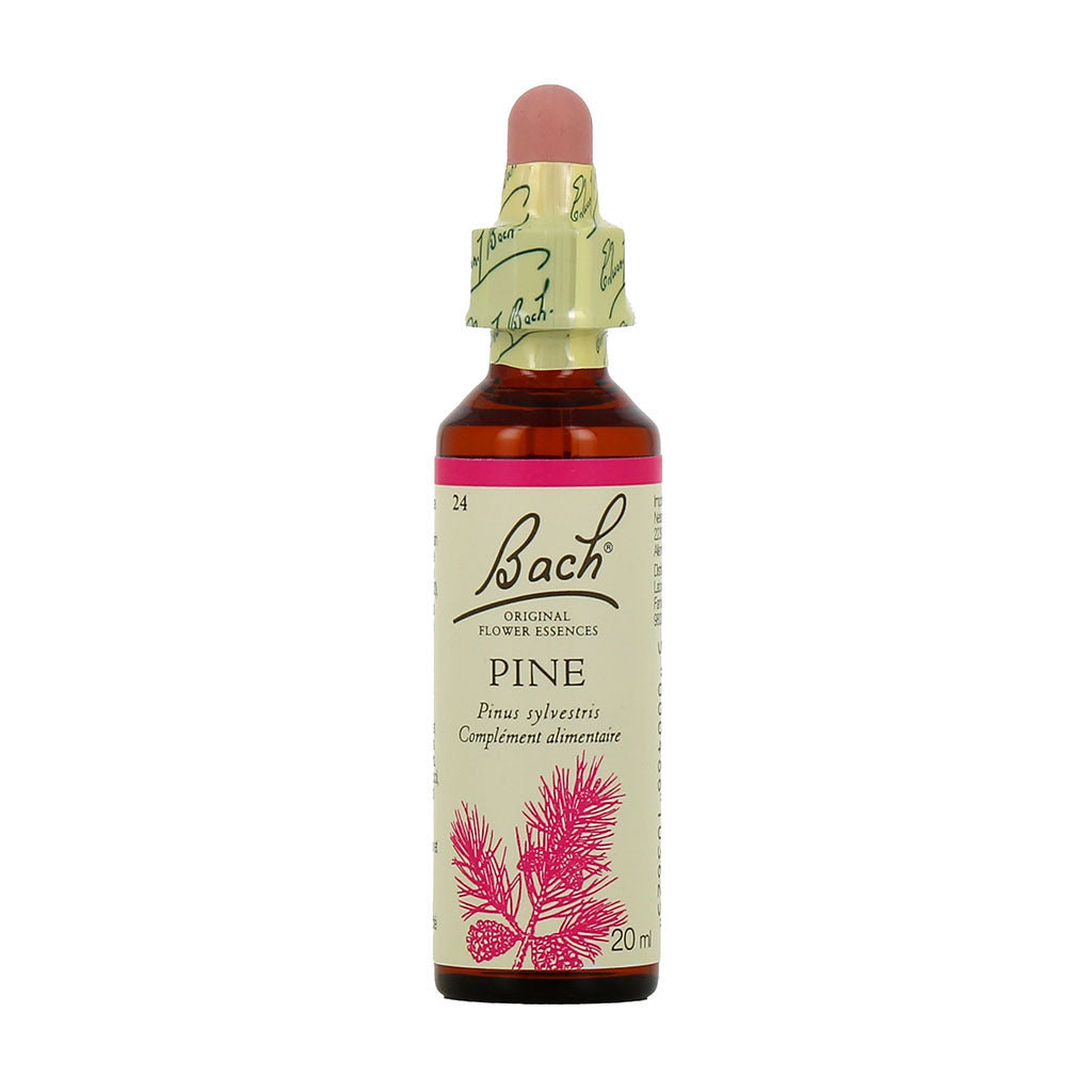 Pin Bach - La Boite à Grains