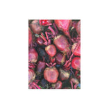 Betterave Detroit Dark Red Biologique (Semences) Semences Nordiques - La Boite à Grains