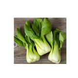 Bok Choi Shanghai Green Organic (Seeds) Nordic Seeds - La Boite à Grains