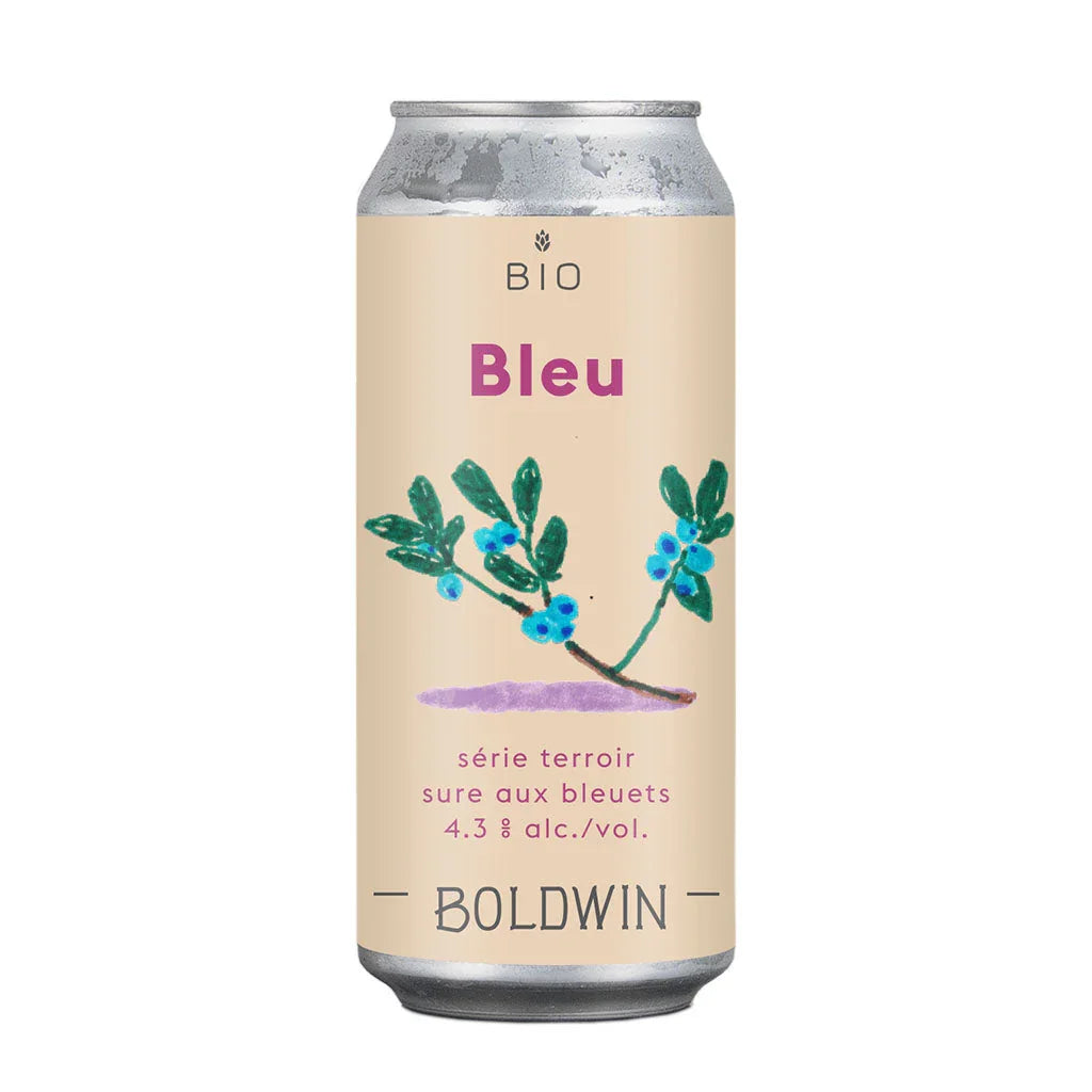 blue beer Boldwin blueberry sour beer - La Boite à Grains