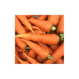 Carrot Red Core Chantenay Organic (Seeds) Nordic Seeds - La Boite à Grains