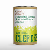 tisane cataire Clef des Champs - La Boite à Grains