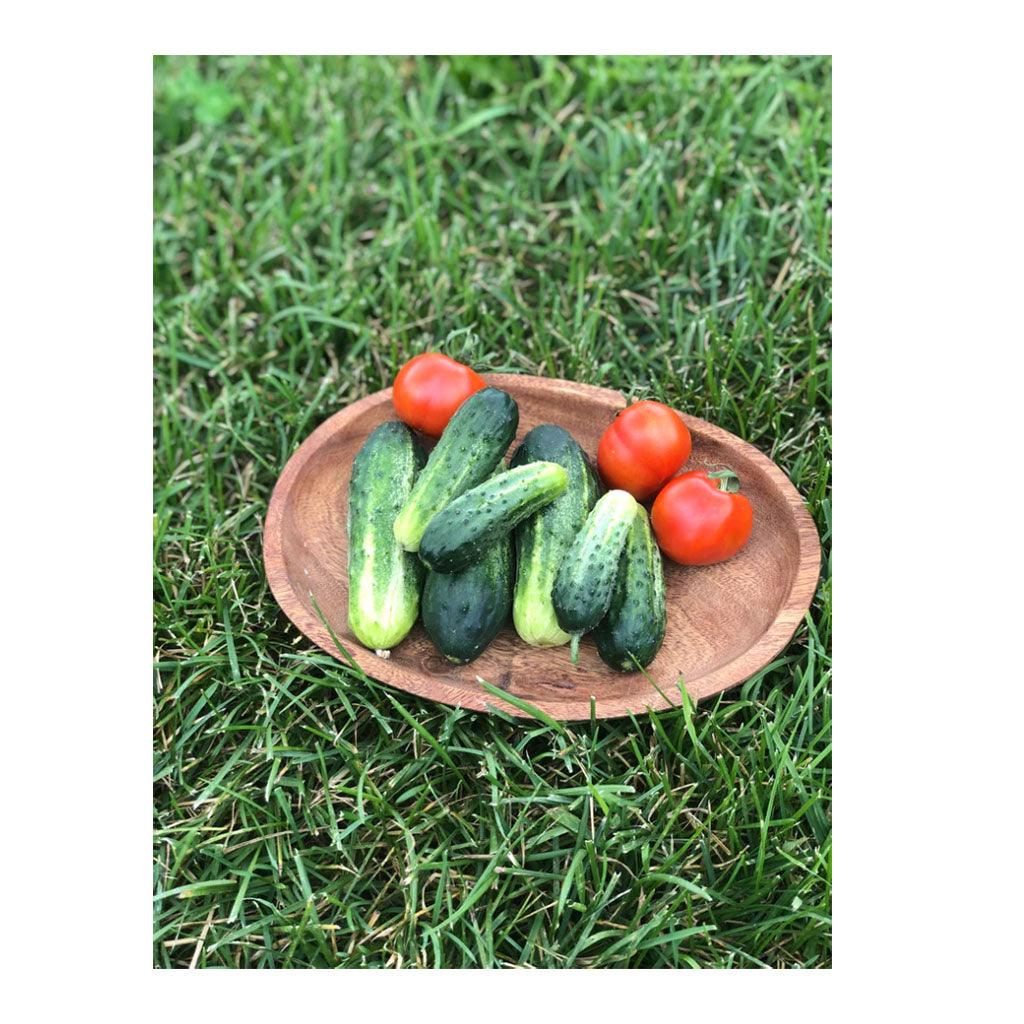 Concombre à Cornichon Little Leaf Biologique (Semences) Semences Nordiques - La Boite à Grains