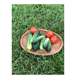 Little Leaf Organic Pickle Cucumber (Seeds) Nordic Seeds - La Boite à Grains