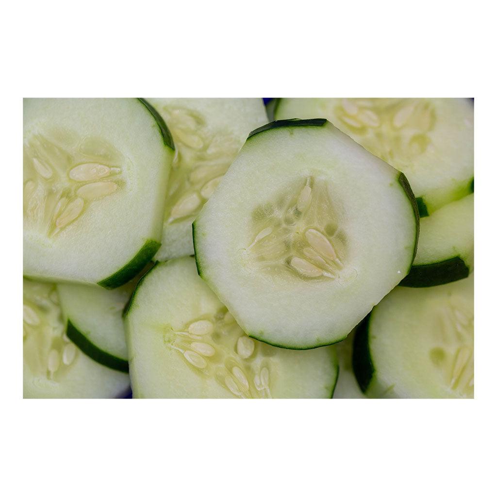 Concombre Marketmore Biologique (Semences) Semences Nordiques - La Boite à Grains