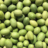 Organic Mexican Cucumber Les Jardins de l'Écoumène - La Boite à Grains