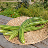 Concombre Serpent Biologique Les Jardins de l'Écoumène - La Boite à Grains