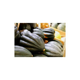 Courge d'Hiver Poivrée Table King Biologique (Semences) Semences Nordiques - La Boite à Grains