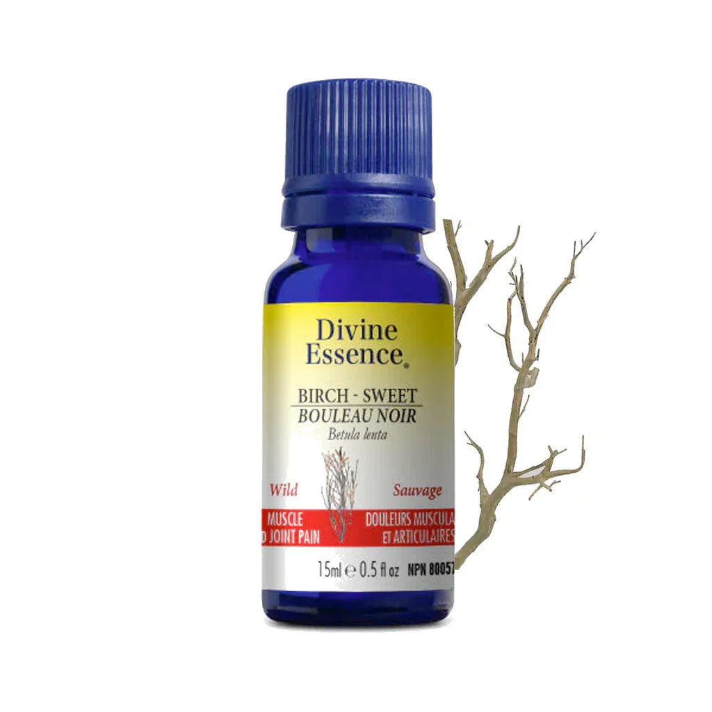 huile essentielle de bouleau noir Divine Essence - La Boite à Grains
