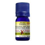divine essence real organic cinnamon essential oil 5 ml