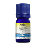 divine essence huile essentielle jasmin absolue 5 ml