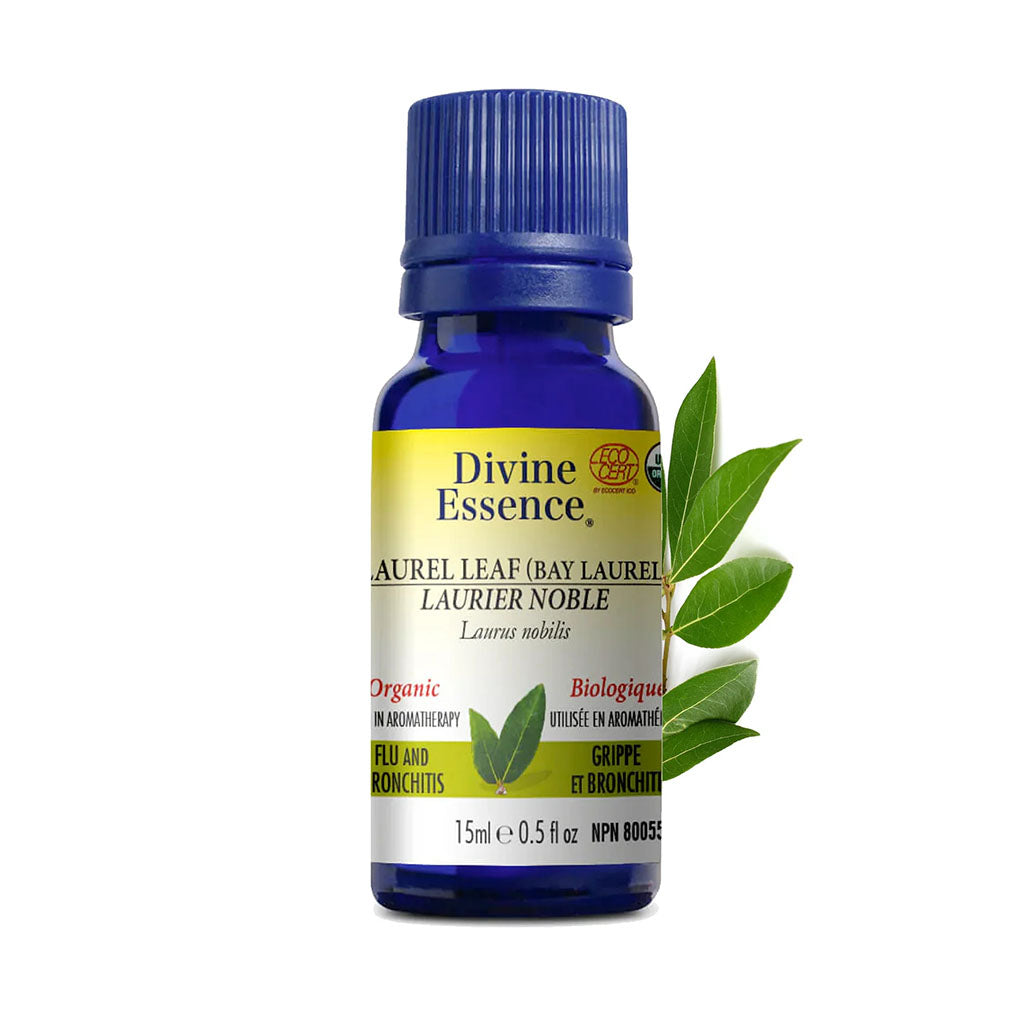 huile essentielle de laurier noble Divine Essence - La Boite à Grains