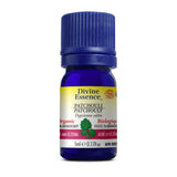 divine essence huile essentielle patchouli biologique 5 ml