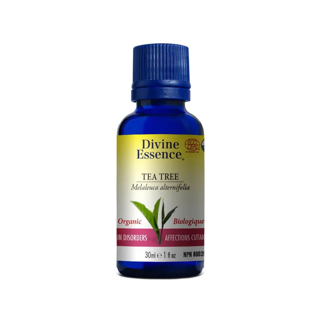 huile essentielle tea tree biologique Divine Essence - La Boite à Grains