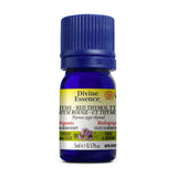 divine essence essential oil red thyme ct organic thymol 5 ml