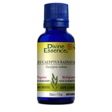 Eucalyptus Radiata Biologique Divine Essence - La Boite à Grains