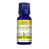 Eucalyptus Radiata Biologique Divine Essence - La Boite à Grains
