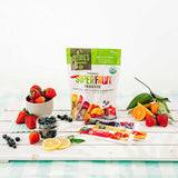 Freezie Super Fruit Biologique (Sucettes Glacées) Deebee's Organics - La Boite à Grains