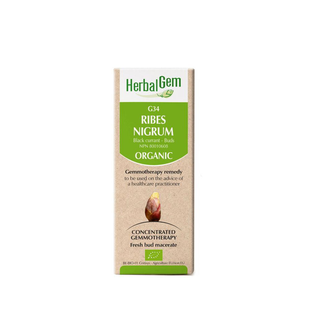 G34 Ribes Nigrum Organic Herbalgem - La Boite à Grains