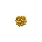 Graines de Citrouille Biologiques Yupik - La Boite à Grains