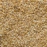 Graines de Lin Doré Biologique Milanaise - La Boite à Grains