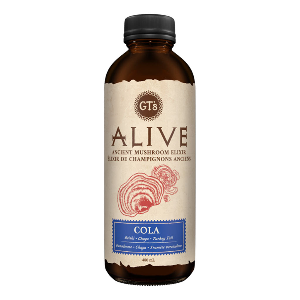 GT's kombucha alive élixir de champignons anciens cola 480 ml - La Boite à Grains
