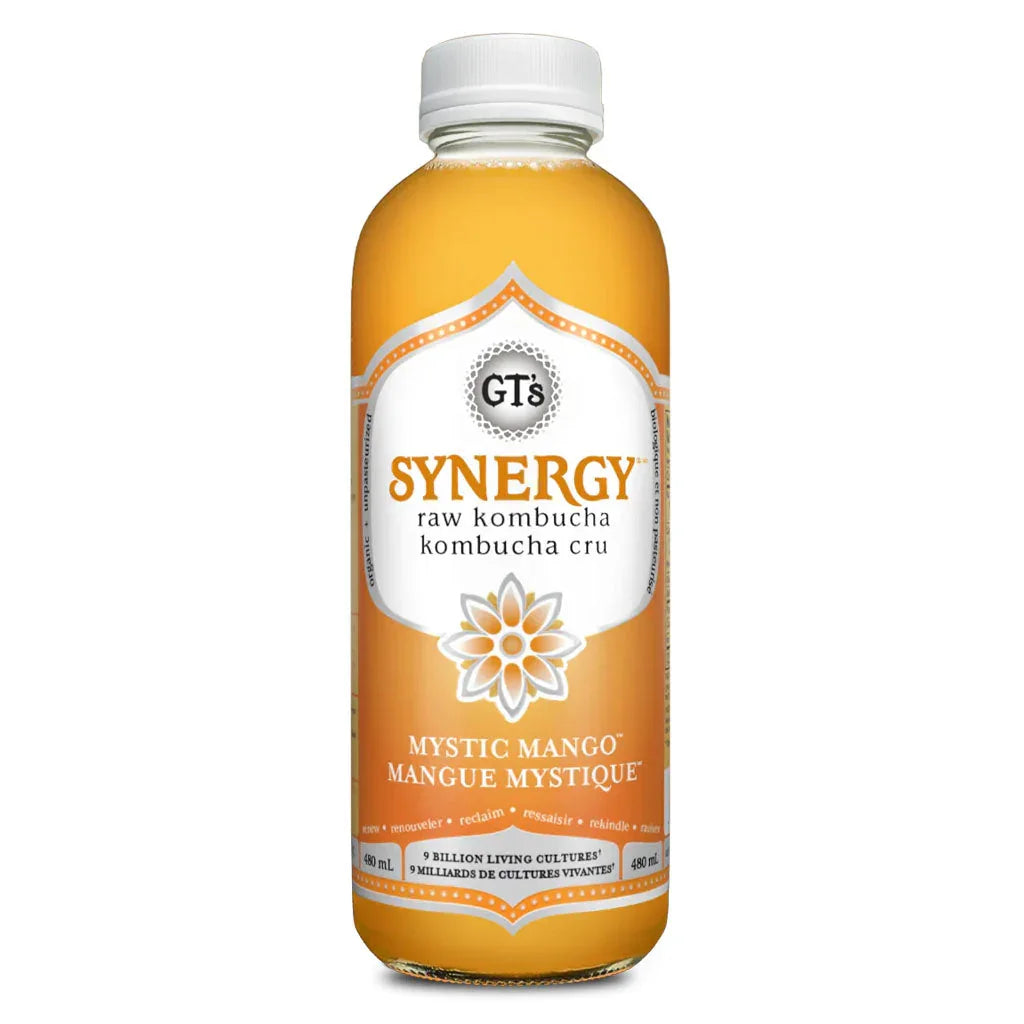 GT's kombucha synergy mystical mango 480 ml - La Boite à Grains