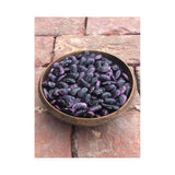 Haricot Grimpant Scarlet Runner Biologique (Semences) Semences Nordiques - La Boite à Grains