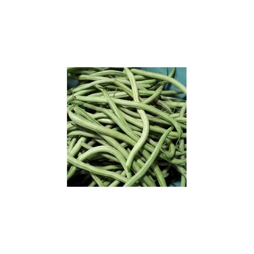 Haricot Maxibel Biologique Les Jardins de l'Écoumène - La Boite à Grains