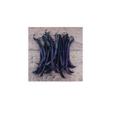Organic Royal Burgundy Bean (Seeds) Nordic Seeds - La Boite à Grains