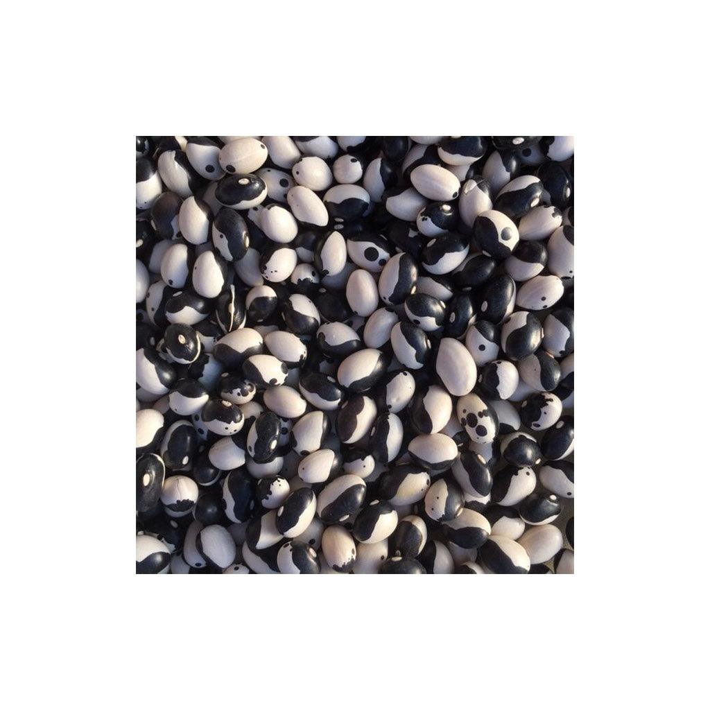 Haricot Sec Calypso Biologique (Semences) Semences Nordiques - La Boite à Grains