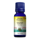Huile Essentielle de Pin Blanc Biologique Divine Essence - La Boite à Grains