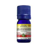 Divine Essence Organic Mountain Savory Essential Oil