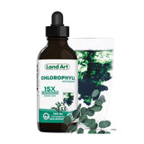 Chlorophyll Concentrée 15X Eucalyptus Land Art - La Boite à Grains