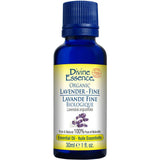 Lavande Fine Biologique Divine Essence - La Boite à Grains