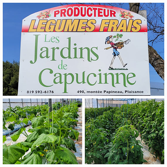 Les Jardins de Capucinne 570x570