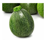 round zucchini from Nice The gardens of Écoumène - La Boite à Grains