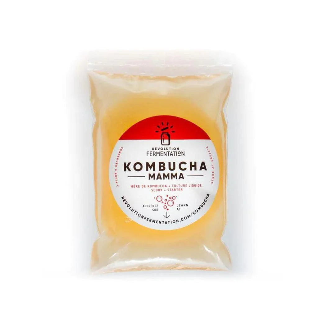 Mamma Kombucha (Mother of Kombucha) Fermentation Revolution - La Boite à Grains