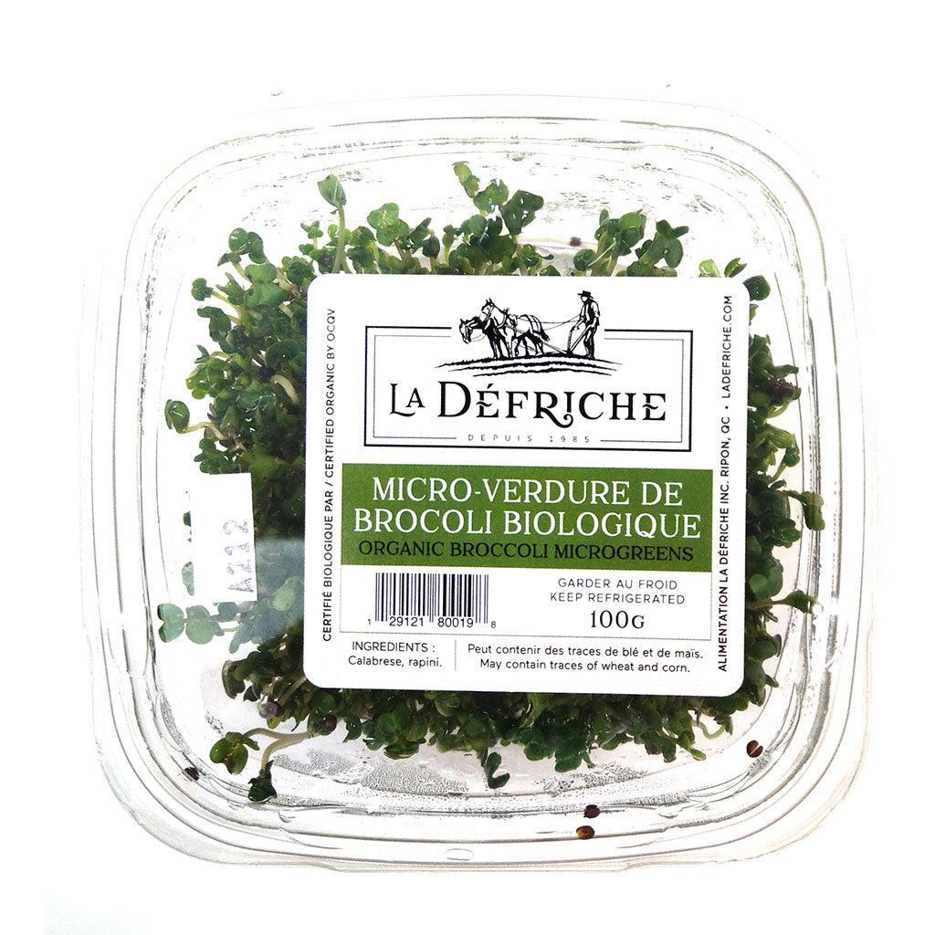 Organic Broccoli Micro Greens La Défriche - La Boite à Grains