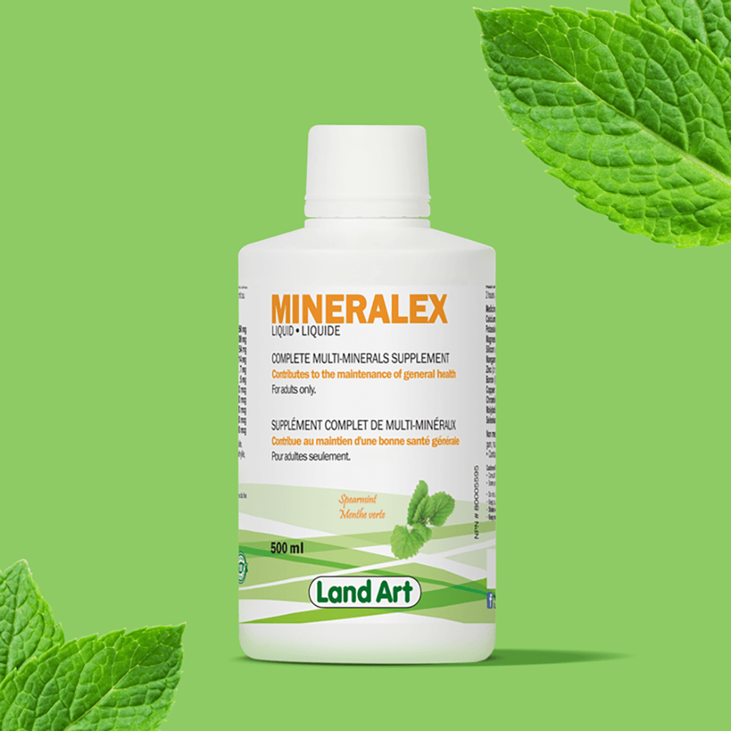 Mineralex Land Art - La Boite à Grains