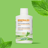 Mineralex Land Art - La Boite à Grains