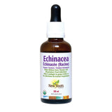 echinacea New Roots - La Boite à Grains