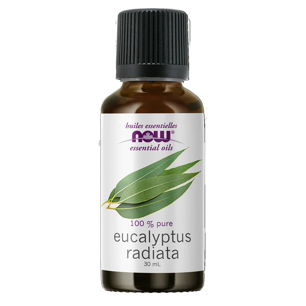 huile essentielle eucalyptus radiata Now - La Boite à Grains